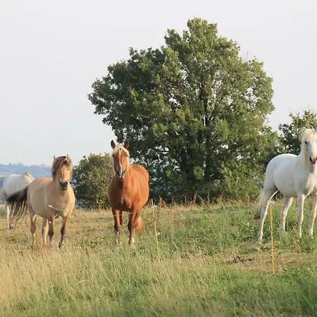 Pour Les Amoureux De La Nature. Hébergement de vacances *