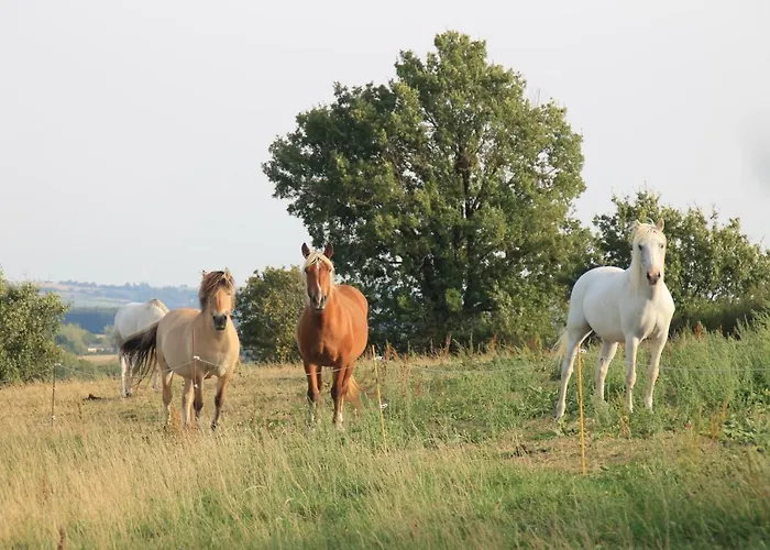 Pour Les Amoureux De La Nature. Hébergement de vacances *